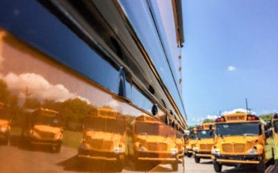 School Buses and Laws