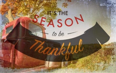 Hurry! Slow Down, Reflect and Give Thanks